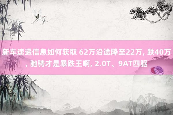 新车速递信息如何获取 62万沿途降至22万, 跌40万, 驰骋才是暴跌王啊, 2.0T、9AT四驱