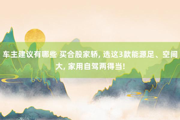 车主建议有哪些 买合股家轿, 选这3款能源足、空间大, 家用自驾两得当!