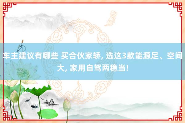 车主建议有哪些 买合伙家轿, 选这3款能源足、空间大, 家用自驾两稳当!