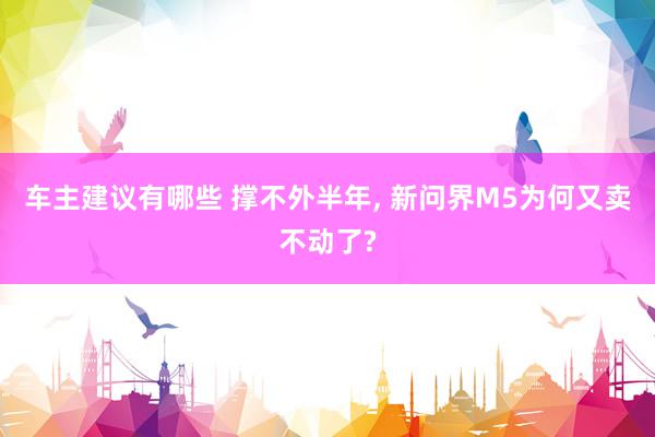 车主建议有哪些 撑不外半年, 新问界M5为何又卖不动了?