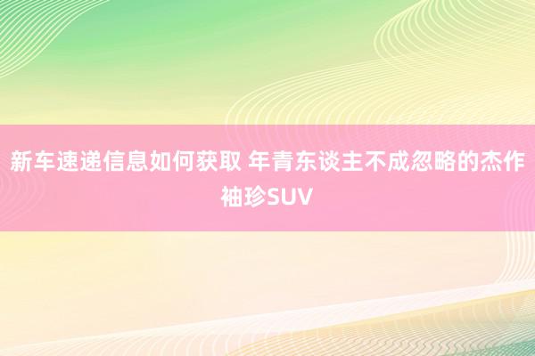 新车速递信息如何获取 年青东谈主不成忽略的杰作袖珍SUV