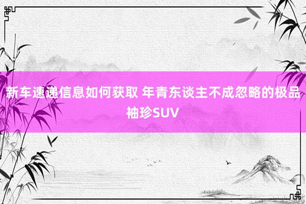 新车速递信息如何获取 年青东谈主不成忽略的极品袖珍SUV