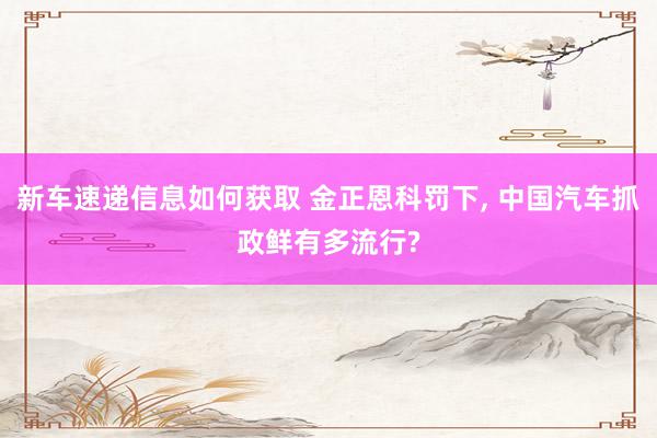 新车速递信息如何获取 金正恩科罚下, 中国汽车抓政鲜有多流行?