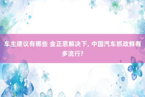 车主建议有哪些 金正恩解决下, 中国汽车抓政鲜有多流行?