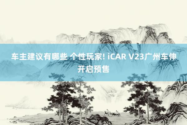 车主建议有哪些 个性玩家! iCAR V23广州车伸开启预售