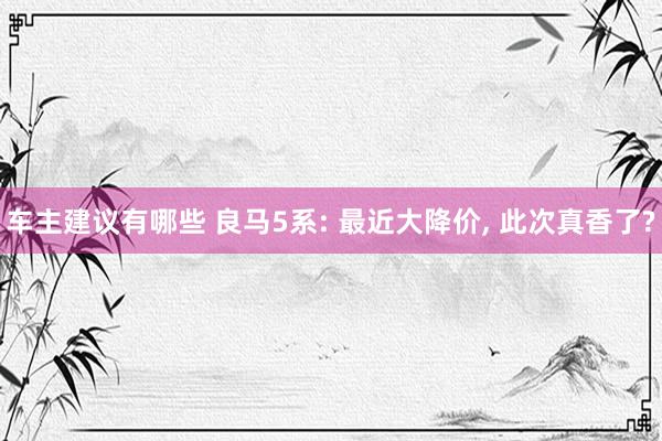 车主建议有哪些 良马5系: 最近大降价, 此次真香了?