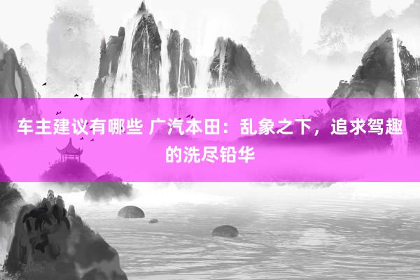 车主建议有哪些 广汽本田：乱象之下，追求驾趣的洗尽铅华