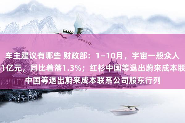 车主建议有哪些 财政部：1—10月，宇宙一般众人预算收入184981亿元，同比着落1.3%；红杉中国等退出蔚来成本联系公司股东行列