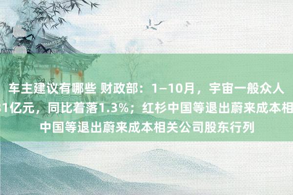 车主建议有哪些 财政部：1—10月，宇宙一般众人预算收入184981亿元，同比着落1.3%；红杉中国等退出蔚来成本相关公司股东行列