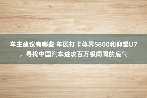 车主建议有哪些 车展打卡尊界S800和仰望U7，寻找中国汽车进攻百万级阛阓的底气