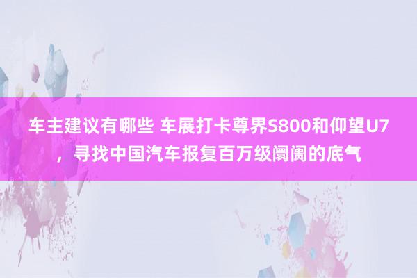 车主建议有哪些 车展打卡尊界S800和仰望U7，寻找中国汽车报复百万级阛阓的底气