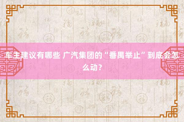 车主建议有哪些 广汽集团的“番禺举止”到底会怎么动？