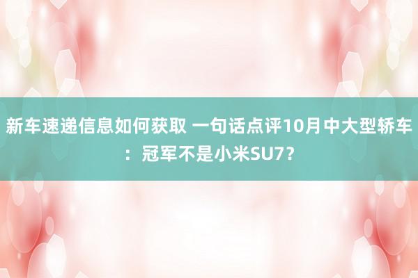 新车速递信息如何获取 一句话点评10月中大型轿车：冠军不是小米SU7？