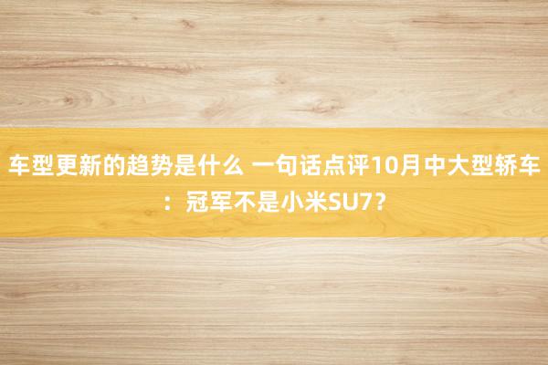 车型更新的趋势是什么 一句话点评10月中大型轿车：冠军不是小米SU7？