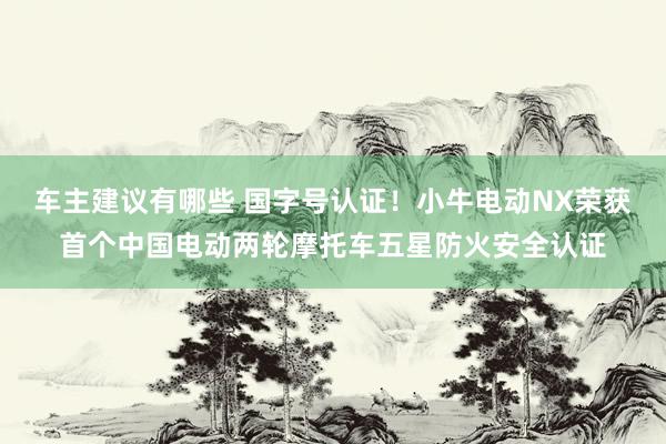 车主建议有哪些 国字号认证！小牛电动NX荣获首个中国电动两轮摩托车五星防火安全认证