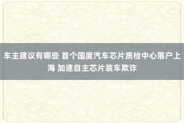 车主建议有哪些 首个国度汽车芯片质检中心落户上海 加速自主芯片装车欺诈