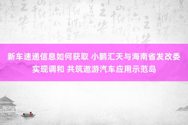 新车速递信息如何获取 小鹏汇天与海南省发改委实现调和 共筑遨游汽车应用示范岛