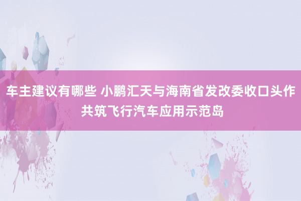 车主建议有哪些 小鹏汇天与海南省发改委收口头作 共筑飞行汽车应用示范岛