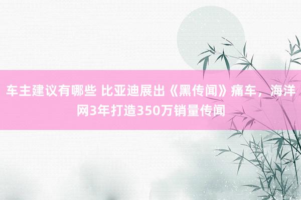 车主建议有哪些 比亚迪展出《黑传闻》痛车，海洋网3年打造350万销量传闻