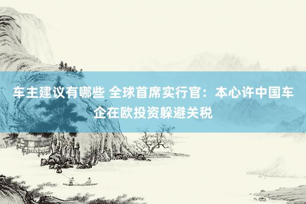 车主建议有哪些 全球首席实行官：本心许中国车企在欧投资躲避关税