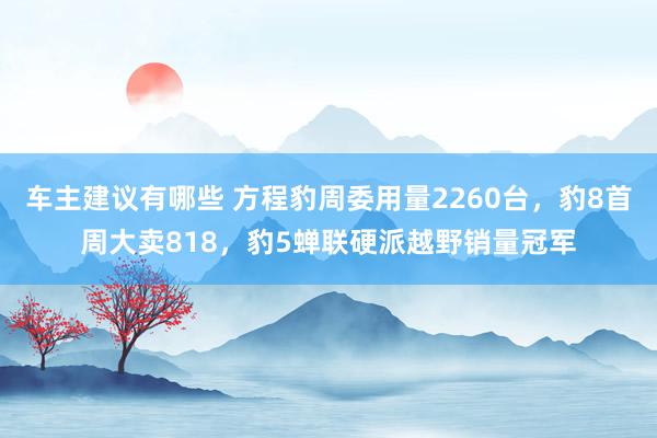 车主建议有哪些 方程豹周委用量2260台，豹8首周大卖818，豹5蝉联硬派越野销量冠军