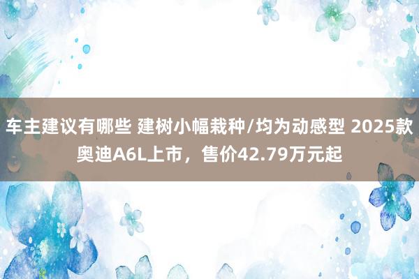 车主建议有哪些 建树小幅栽种/均为动感型 2025款奥迪A6L上市，售价42.79万元起